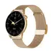 Gold Steel + Silicone Straps