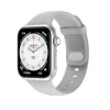 Silver Gray